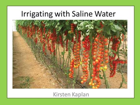 Irrigating with Saline Water Kirsten Kaplan. Agriculture in Israel In 2010, 42% of Israels exports ($2.13 billion) were agricultural 60% of fresh vegetable.