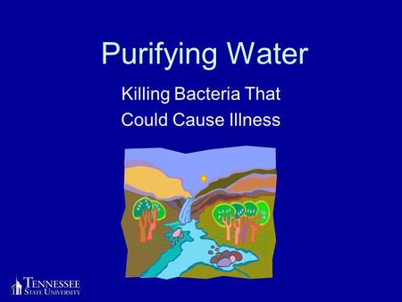 Purifying Water Killing Bacteria That Could Cause Illness.