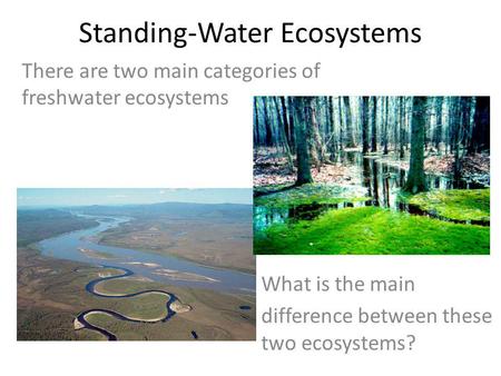 Standing-Water Ecosystems
