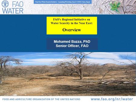 FAO's Regional Initiative on Water Scarcity in the Near East: