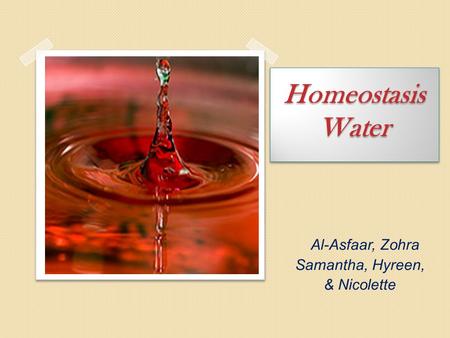Homeostasis Water Al-Asfaar, Zohra Samantha, Hyreen, & Nicolette.