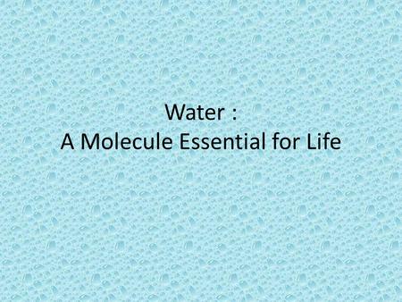 Water : A Molecule Essential for Life. Thoughts to Ponder…… Why cant we survive more than a week without water? How do insects walk on water? How does.
