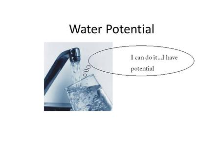 Water Potential. Water Potential: the measure of the relative tendency of water to move from one area to another, Ψ. – Affected by Osmosis Gravity Surface.