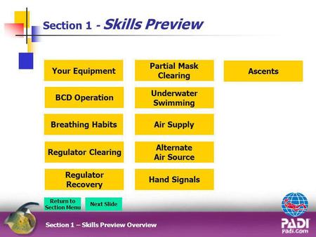 Section 1 - Skills Preview