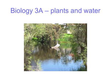 Biology 3A – plants and water