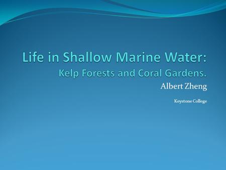 Albert Zheng Keystone College. Introduction Kelps can grow over 40m in some places. Resembles submarine forests. Example: Coast of California Coral Reefs.