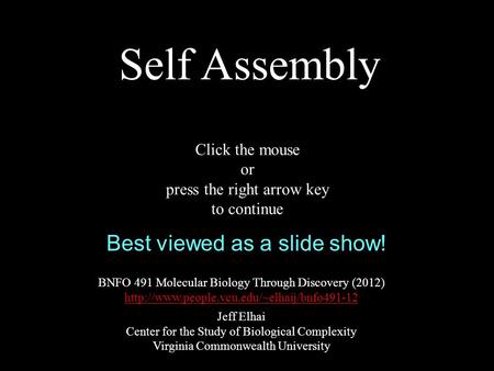 Self Assembly BNFO 491 Molecular Biology Through Discovery (2012)