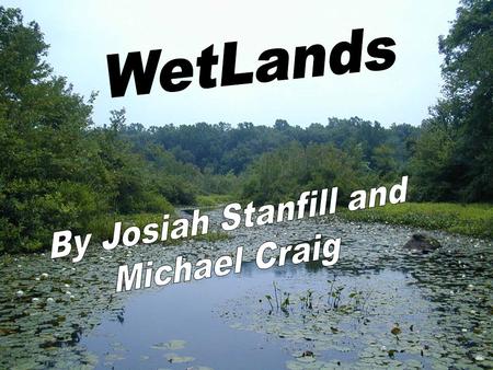 Endangered 6% of earths surface Each wetland differs due to variations in soils, landscape, climate, water regime and chemistry, vegetation, and human.