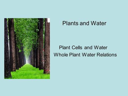 Plants and Water Plant Cells and Water Whole Plant Water Relations.