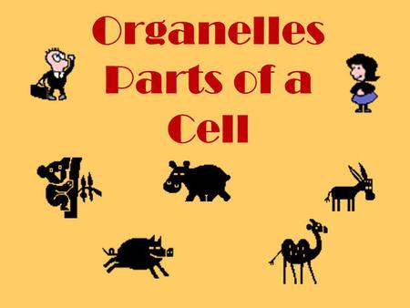 Organelles Parts of a Cell