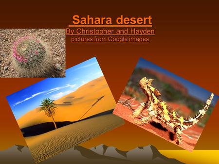 Sahara desert By Christopher and Hayden pictures from Google images