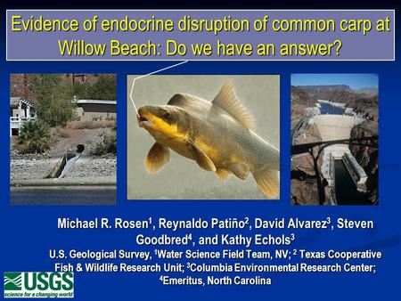 Evidence of endocrine disruption of common carp at Willow Beach: Do we have an answer? Michael R. Rosen 1, Reynaldo Patiño 2, David Alvarez 3, Steven Goodbred.
