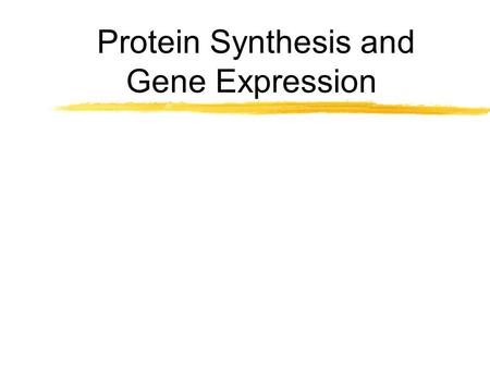Protein Synthesis and Gene Expression zDNA: deoxyribonucleic acid--contains sugar deoxyribose. zDNA is double stranded. zDNA contains bases adenine,