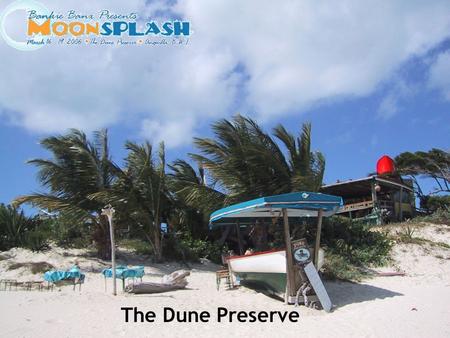 The Dune Preserve.