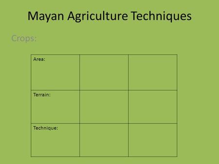 Mayan Agriculture Techniques