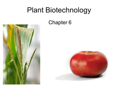 Plant Biotechnology Chapter 6.