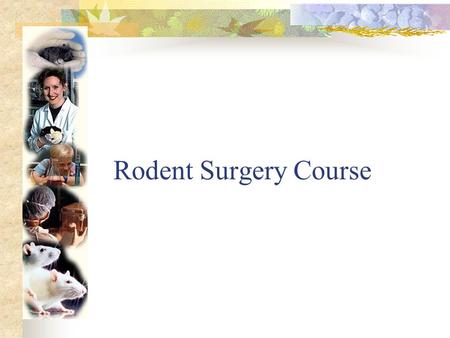 Rodent Surgery Course Why???? Laws and regulations dictate appropriate procedures and care.