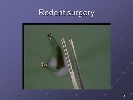 1 Rodent surgery. 2 Recovery Surgery in Rodents LASA Good Practice Guidelines Separate space Separate space Gown Gown Instrument sterility Instrument.