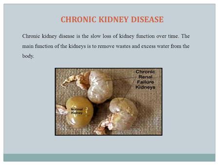 CHRONIC KIDNEY DISEASE Chronic kidney disease is the slow loss of kidney function over time. The main function of the kidneys is to remove wastes and excess.