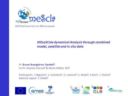 MEsoSCale dynamical Analysis through combined model, satellite and in situ data PI: Bruno Buongiorno Nardelli 1 Co-PI: Ananda Pascual 2 & Marie-Hélène.