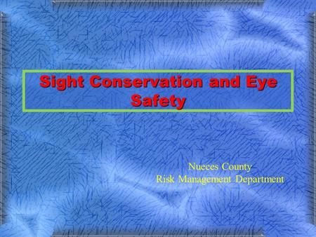 Sight Conservation and Eye Safety Nueces County Risk Management Department.