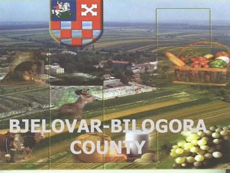 BJELOVAR-BILOGORA COUNTY. Croatia - Croatia is a country in Central Europe at the crossroads of the Pannonian Plain and the Adriatic Sea. - Its Capital.