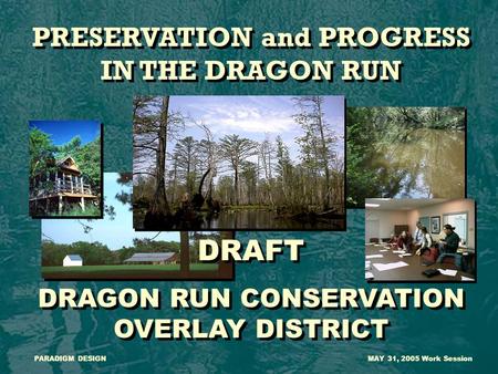 PRESERVATION and PROGRESS IN THE DRAGON RUN DRAFT DRAGON RUN CONSERVATION OVERLAY DISTRICT PRESERVATION and PROGRESS IN THE DRAGON RUN DRAFT DRAGON RUN.
