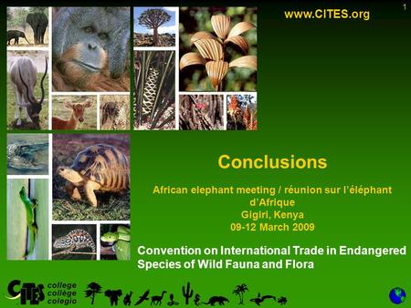 1 Convention on International Trade in Endangered Species of Wild Fauna and Flora www.CITES.org Conclusions African elephant meeting / réunion sur léléphant.