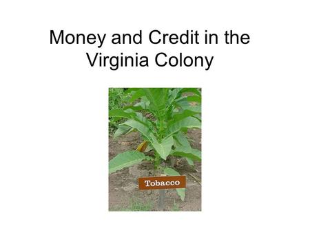 Money and Credit in the Virginia Colony