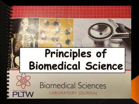 In the Academy of Biomedical Sciences we have had many unique experiences. We constantly remain busy and develop our research skills, but we still manage.
