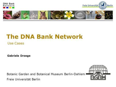 The DNA Bank Network Use Cases Gabriele Droege Botanic Garden and Botanical Museum Berlin-Dahlem Freie Universität Berlin.