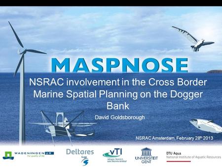 NSRAC involvement in the Cross Border Marine Spatial Planning on the Dogger Bank David Goldsborough NSRAC Amsterdam, February 28 th 2013.
