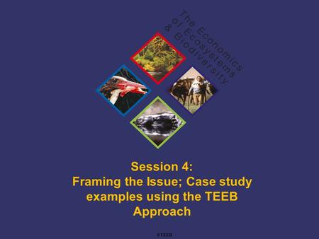 TEEB Training Session 4: Framing the Issue; Case study examples using the TEEB Approach ©TEEB.