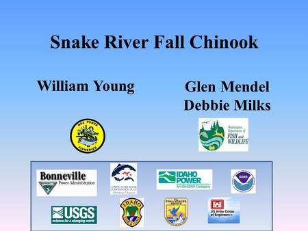 Snake River Fall Chinook Glen Mendel Debbie Milks William Young.