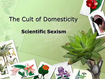 The Cult of Domesticity Scientific Sexism. What was the Cult of Domesticity? It was a new ideal of womanhood arising from womens magazines, advice books,