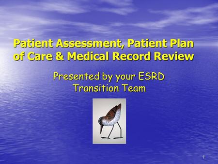 Patient Assessment, Patient Plan of Care & Medical Record Review
