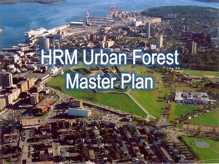 HRM Urban Forest Master Plan HRMs Urban Forest History Themes in the Plan Management Framework Status of the Plan Today.