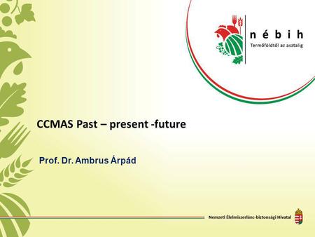 CCMAS Past – present -future Prof. Dr. Ambrus Árpád.