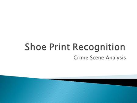 Crime Scene Analysis. Size of a particular shoe – mens size 10 Shoe of a certain manufacturer - Nike Shoe of a certain make – Air Cross Trainers Size/Height/Weight.