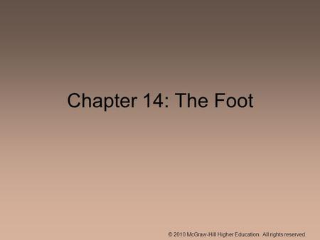 Chapter 14: The Foot.