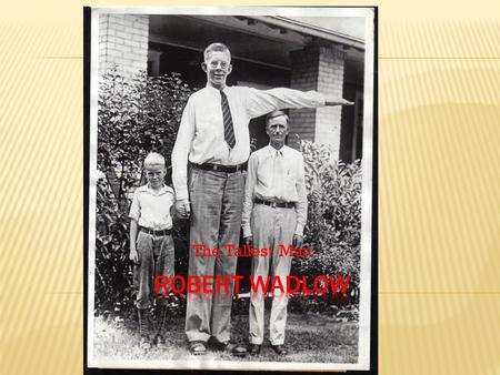 The Tallest Man. Robert was the first born of Addie and Harold Wadlow. Later the Wadlow family grew with the addition of two sisters, Helen and Betty,