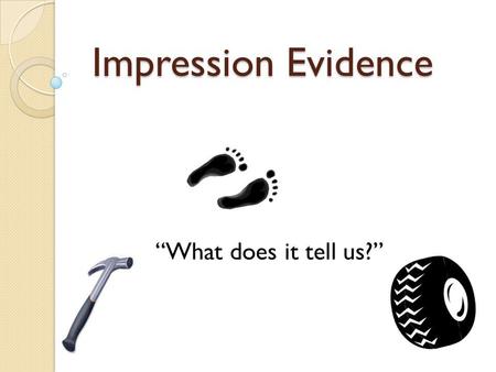 Impression Evidence “What does it tell us?”.