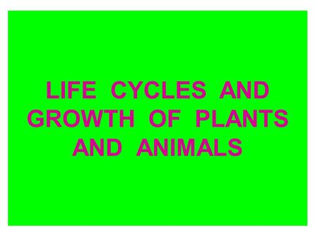 LIFE CYCLES AND GROWTH OF PLANTS AND ANIMALS