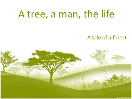 A tree, a man, the life A tale of a forest. World Forest Day We celebrate World Forest Day around the world on 21 March, the day of the vernal equinox.