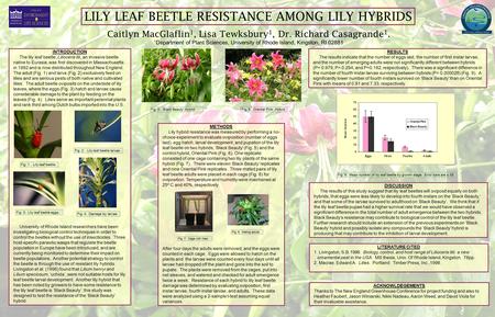 LILY LEAF BEETLE RESISTANCE AMONG LILY HYBRIDS Caitlyn MacGlaflin 1, Lisa Tewksbury 1, Dr. Richard Casagrande 1. 1 Department of Plant Sciences, University.