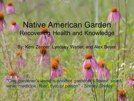 Native American Garden Recovering Health and Knowledge