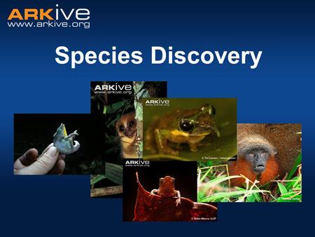 Species Discovery. Diversity of Life Nobody actually knows! Estimates range between 3 and 100 million different species Latest prediction: = 8.7 million.