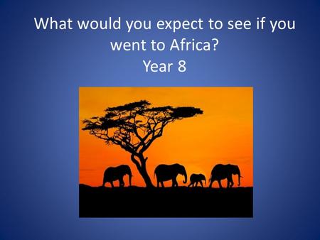 What would you expect to see if you went to Africa? Year 8.
