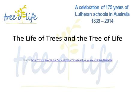 The Life of Trees and the Tree of Life Source: