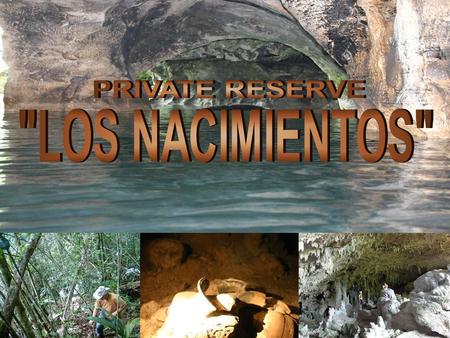 Cultural and ecological park LOS NACIMIENTOS was born after the initiative to offer national and international tourists an alternative to those who seek.